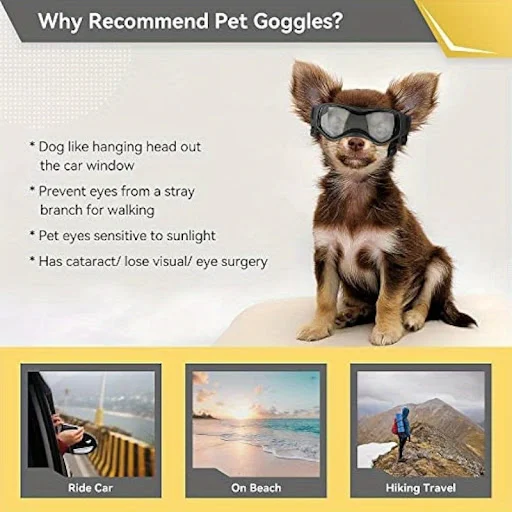 1pc Small Dog Sunglasses, UV Protection Goggles, Doggy Eye Protection, Pet Sunglasses, Arc-Shaped Outdoor Puppy Goggles,