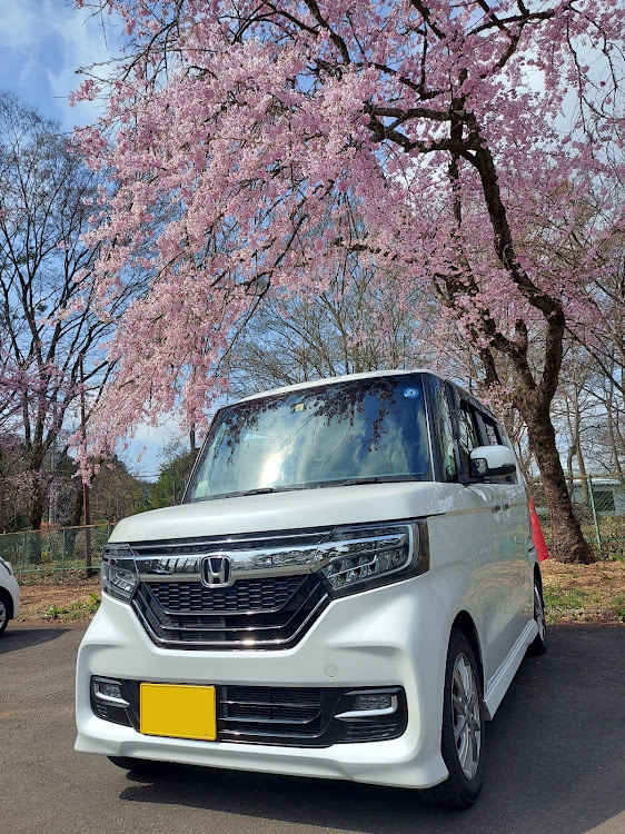 Nボックスカスタムの桜とコラボ・いつもいいねありがとうございます😊・快晴☀️・4月もよろしくお願いします・明日からがんばろ(*´꒳`*)に関するカスタム事例の投稿画像2枚目