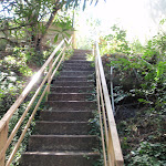 Steps between Milson Park and High St (260663)