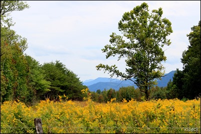 Cades Cove Loop