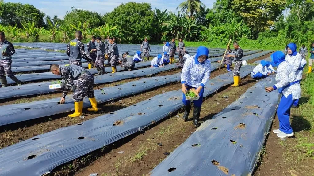 Penanaman 6 komoditas unggulan di atas lahan seluas 1 hektar ini merupakan bentuk keseriusan Danlanudal Manado bersama Prajurit dalam melaksanakan program pemerintah. (Foto istimewa)