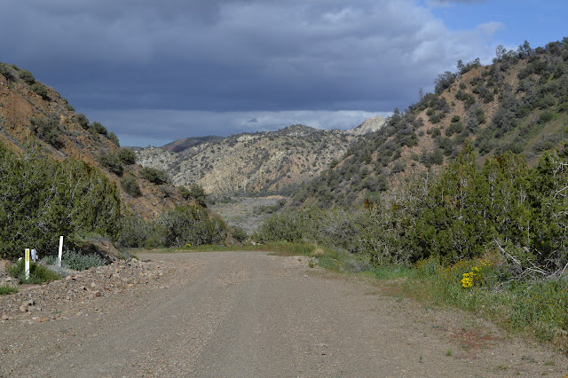 canyon views