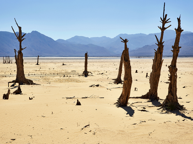 Cape Town’s largest and most important dam, Theewaterskloof, is nearly empty in this April 2018 photo. The reservoir holds more than half of the area’s water when it’s at capacity. Photo: Pieter Hugo