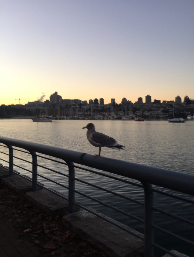 Urban Running! Busy Weekend in Vancouver