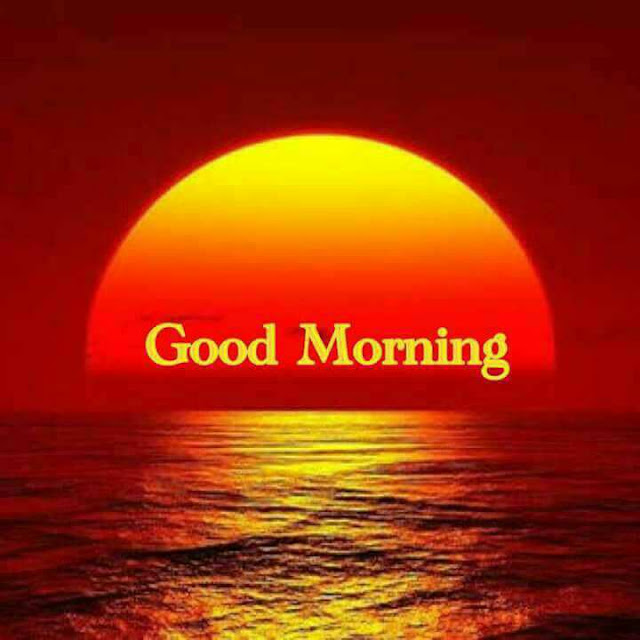 Good Morning Pictures 2023 In Hindi Punjabi English Good Morning Pictures