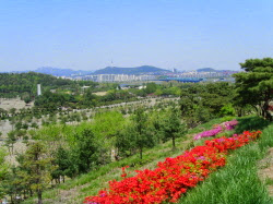 용산 가족공원 2길