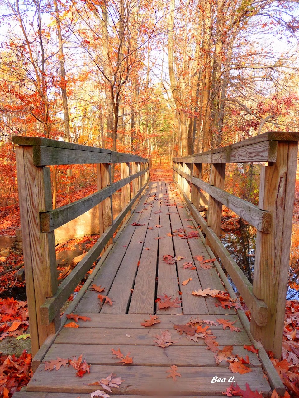 Pin en My Photography