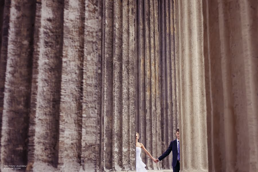 結婚式の写真家Andrey Nesterov (nestand)。2013 1月20日の写真