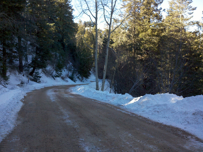 Mount Lemmon • Ski Run Road