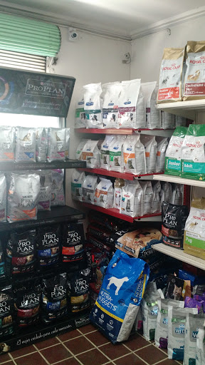 Nova Pet Chile Ltda, Sierra Bella 1753, Santiago, Región Metropolitana, Chile, Tienda de suministros para mascotas | Región Metropolitana de Santiago