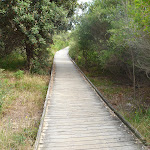 Timbered boardwalk on the Owens Walkway near Webb Park (391232)