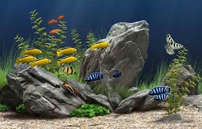Photos of Acuario Ex&oacute;ticos Xalapa