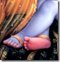 [Krishna's lotus feet]