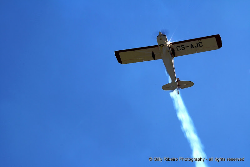 IMAGE: https://lh3.googleusercontent.com/--l6i4oW886U/Ucm1Vf18pDI/AAAAAAAAG2k/fA3wQAeb_5E/s800/IMG_7610.JPG