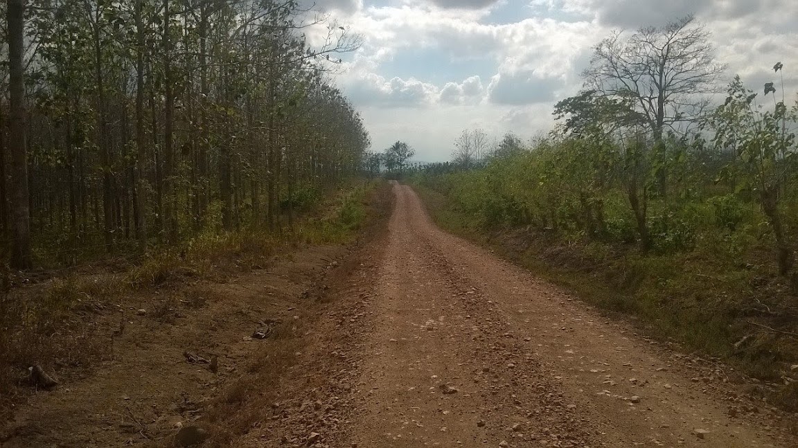 Дарьенский дневник (фото)