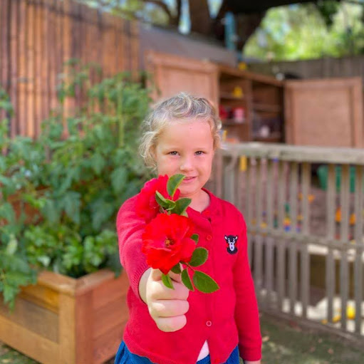 Community Kindy The Mount