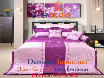 Bộ Chăn Ga Gối Everhome Premium EP-303