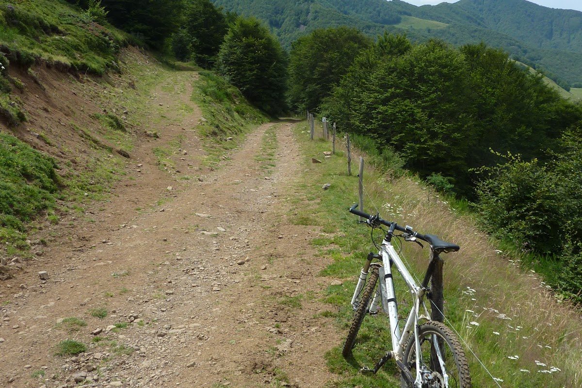 P1020418.JPG
