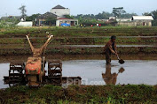 Upaya Pastikan Kesejahteraan Petani, Kementan Gandeng BSI dan Sejumlah Offtaker Percepat Realisasi KUR