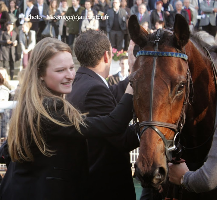 Photos Auteuil 2-11-2014 (48h de l'obstacle) - Page 2 IMG_5680