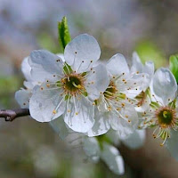 Marzo, la primavera è nell'aria di 