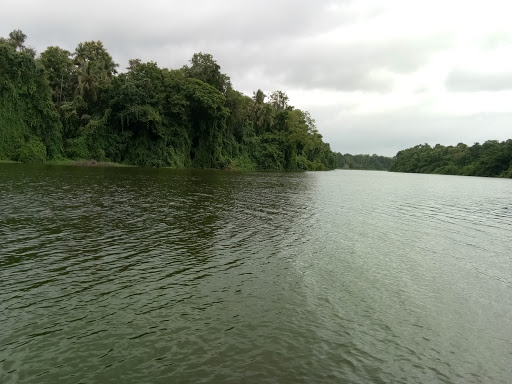 KNM Auditorium,Kattuppara, TN PURAM - KATTUPPARA, Shornur-Perinthalmanna Rd, Chelakkad, Kerala 679323, India, Auditorium, state KL