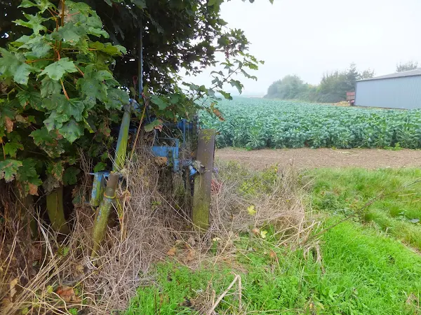 old farm machinery in the hedgerow