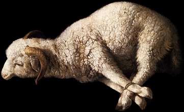 Sacrificial_Lamb