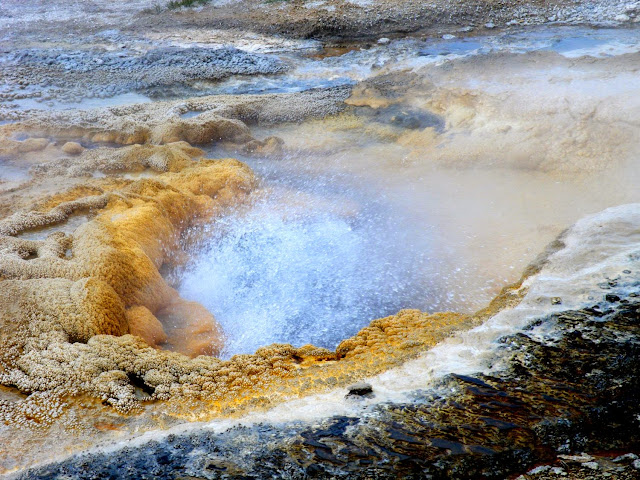 Los fascinantes parques del oeste americano. - Blogs de USA - DIA-2. GRAND TETON Y YELLOWSTONE (I). (16)