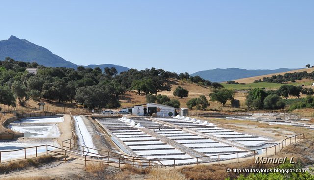 Salinas Romanas de Iptuci