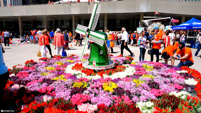 liberation of the Netherlands - 70 years ago celebration party in Toronto in Toronto, Canada 