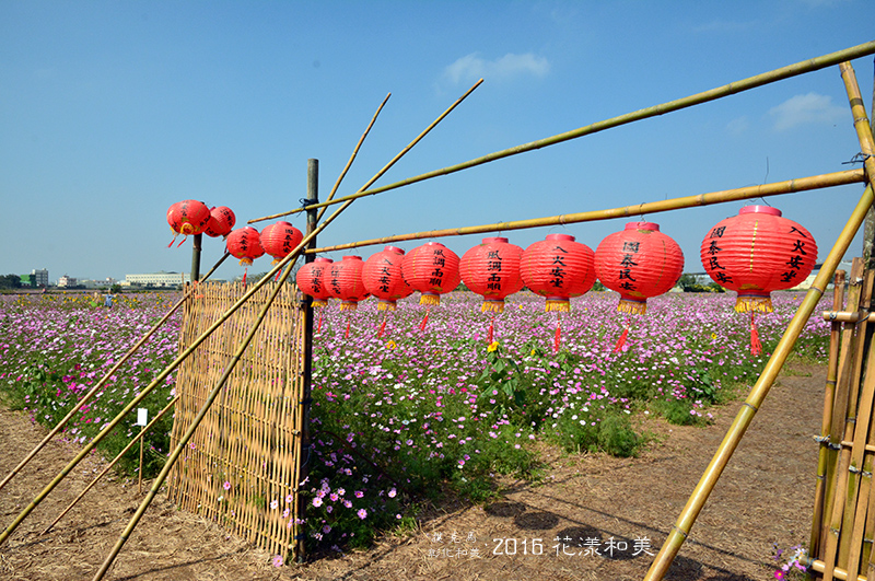 和美花海