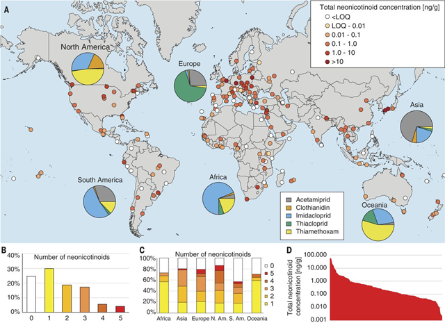 Worldwide contamination of honey by neonicotinoid pesticides. (A) Worldwide distribution of honey contamination by neonicotinoids. White symbols, concentration below quantification levels (LOQ for at least one neonicotinoid; shading indicates the total neonicotinoid concentration (nanograms per gram). Pie chart insets: Relative proportion of overall concentration of each neonicotinoid by continent (legend in bottom inset). (B) Overall percentage of samples with quantifiable amounts of 0, 1, or a cocktail of 2, 3, 4, or 5 individual neonicotinoids. (C) Proportion of samples with 0, 1, 2, 3, 4, and 5 individual neonicotinoids in each continent. (D) Rank-concentration distribution of total neonicotinoids in all of the 149 samples in which quantifiable amounts of neonicotinoids were measured. Graphic: Mitchell, et al., 2017 / Science