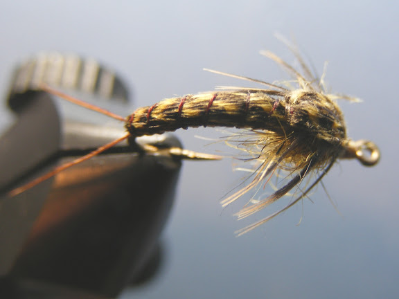 Little Snow Fly (stonefly) nymph - Sparse Grey Matter