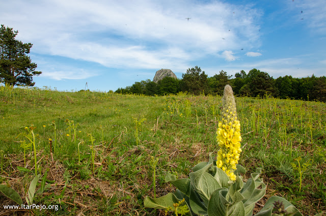 Kravica - volcanic rock on Macedonian – Greek border