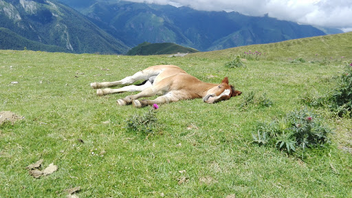 Col d'Aubisque
