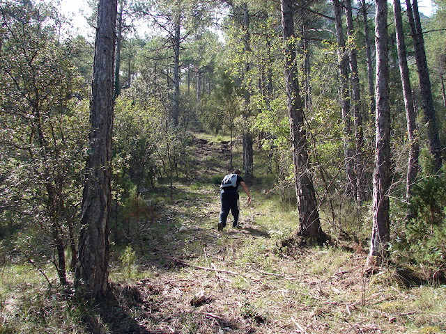 senderismo Cinctorres Creu del Xelat Barran Barcella PR-CV 308