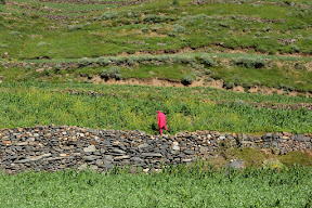 Strong women in Hunza also work in fields.