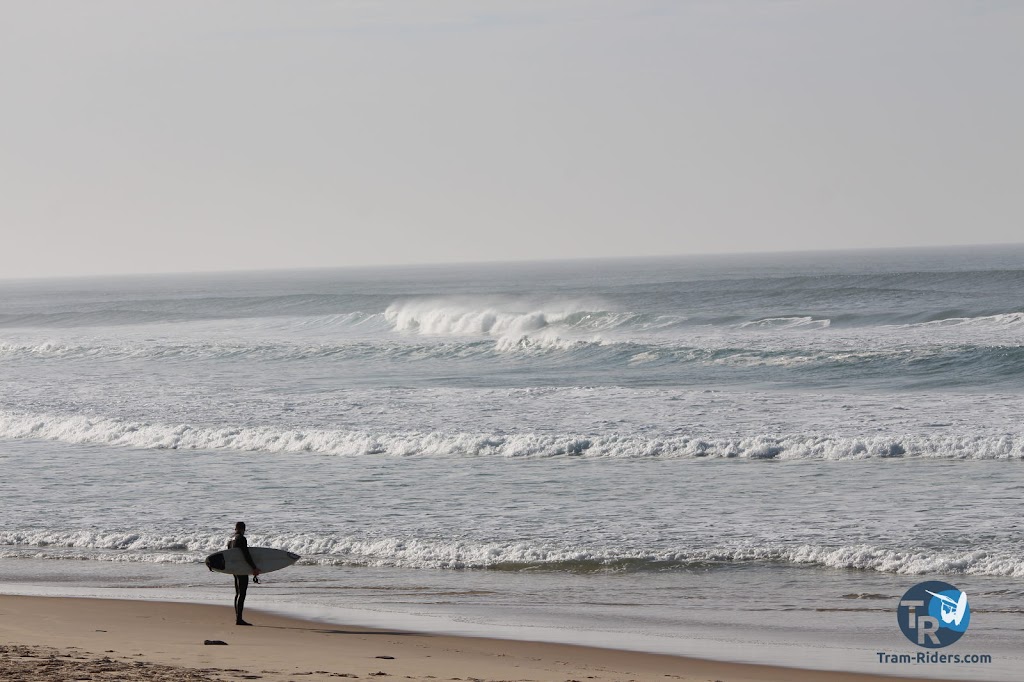 20151219-Biscarosse-La-lagune-010.JPG