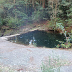 Boarding House Dam near Watagans Forest Rd in the Watagans (64832)