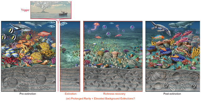 When fossils disappear, the world changes. Today's mass rarity of marine and terrestrial species may already have a mass extinction-like fossil record. Acting to save the fossil record of today by restoring species abundance and range could ensure the stability of the biosphere. Graphic: Nicolle R. Fuller / Sayo-Art