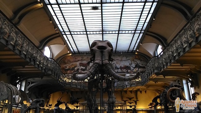 Museos Paris Historia Natural 7