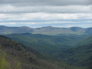 View of the Greens in spring foliage as seen from the ski lift.  (5/15/10)