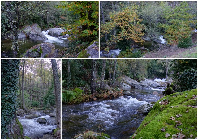 Recorriendo Extremadura. Mis rutas por Cáceres y Badajoz - Blogs de España - La Vera (Cáceres). Ruta otoñal por sus pueblos y su espectacular naturaleza. (31)