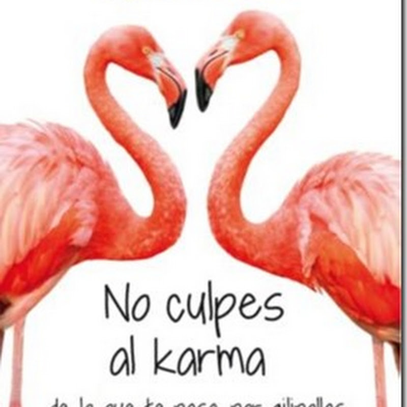 No culpes al karma de lo que te pasa por gilipollas