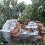  in Las Vegas, United States 