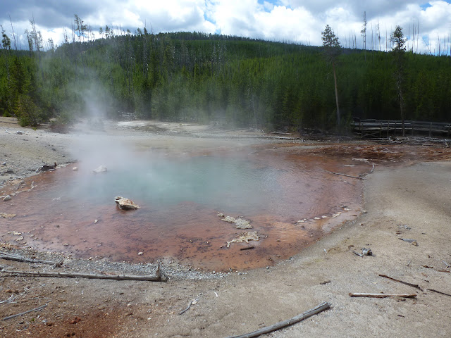 PN Yellowstone. Madison. Valle río Gibbon. Norris Geyser Basin. 12 Julio - LAS ROCOSAS DE CANADA. YELLOWSTONE Y GRAND TETON. (25)