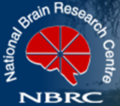 NBRC Brain Research SRF Vacancy 2016 May