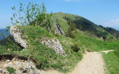 Nagelfluhgestein Hochgrat Nagelfluhkette