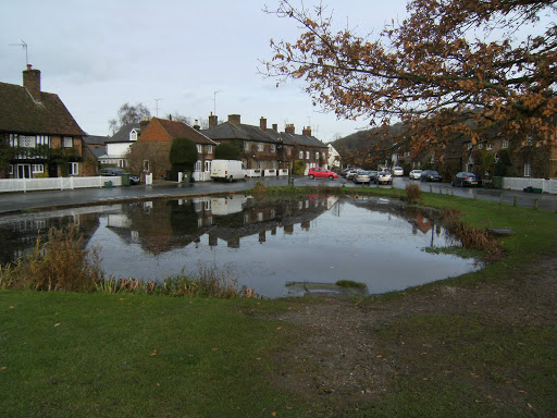 DSCF2731 Aldbury village pond